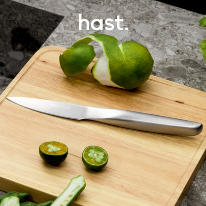 Hast Selection series 2-piece Japanese Steel Knife Set